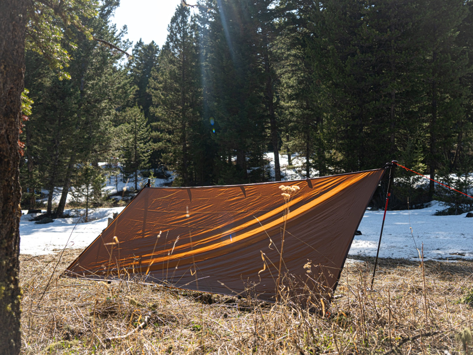 Baldy Mountain Tarp